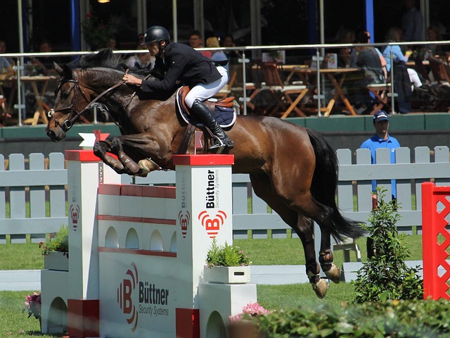 动的小球员 动的小球员