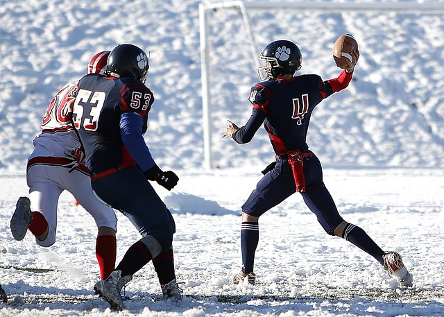 强的适应能 强的适应能