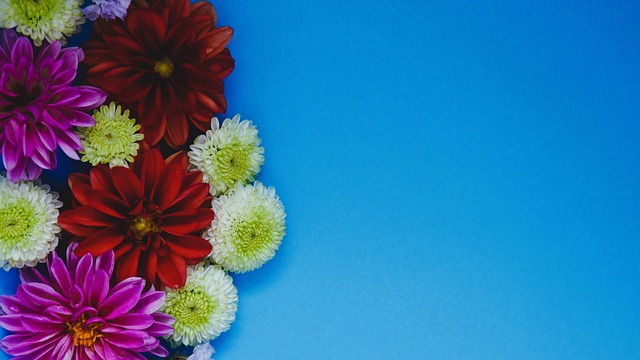 胜的核心功 胜的核心功