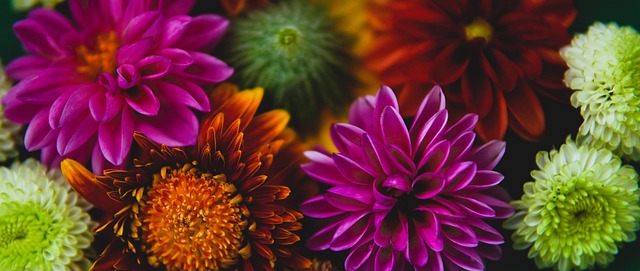 轻球员的影 轻球员的影