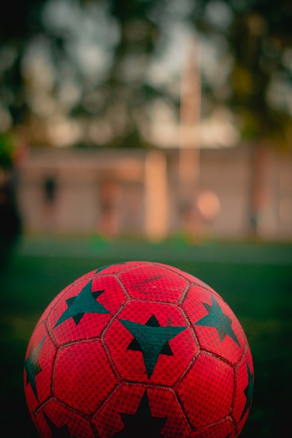 市区内公交 市区内公交