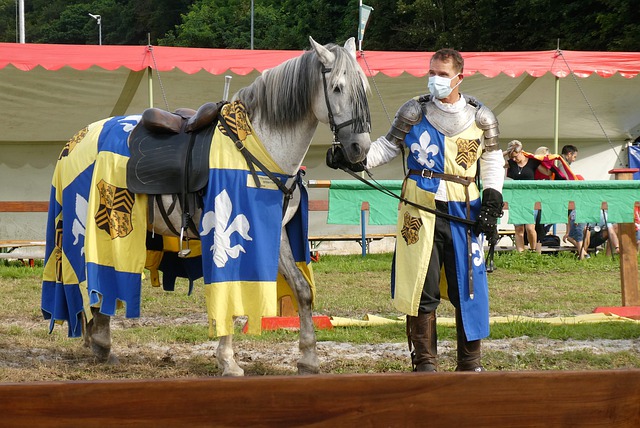 防稳健性 防稳健性