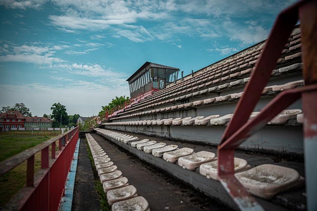 并理解粉丝 并理解粉丝